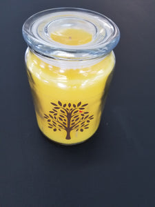 Apothecary Candle